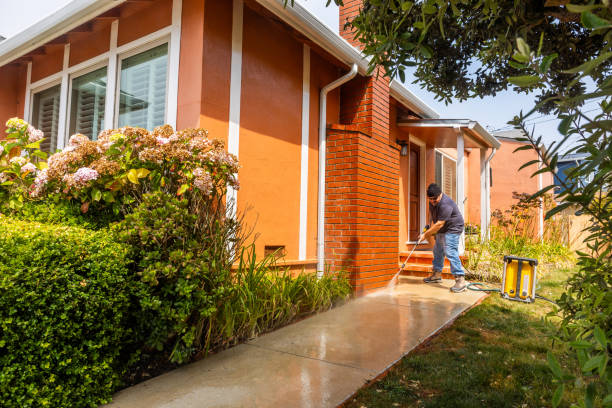 Best Local Pressure Washing Services  in Maurice, LA