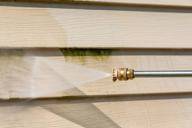 Best Roof Power Washing Services  in Maurice, LA