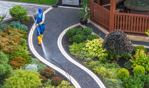 Best House Pressure Washing  in Maurice, LA