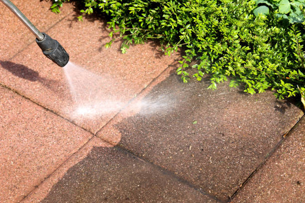 Best Affordable Power Washing  in Maurice, LA