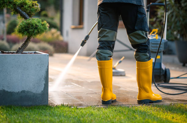 Best Best Pressure Washing Companies  in Maurice, LA